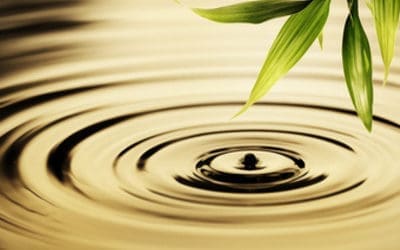 Cours de Hatha Yoga